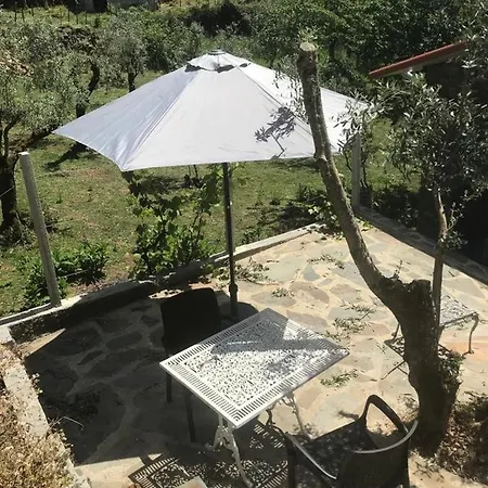 Holiday home Casa Oliveiras - Casas Do Sinhel *