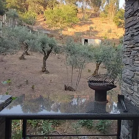 Casa Oliveiras - Casas Do Sinhel * Cha de Alvares