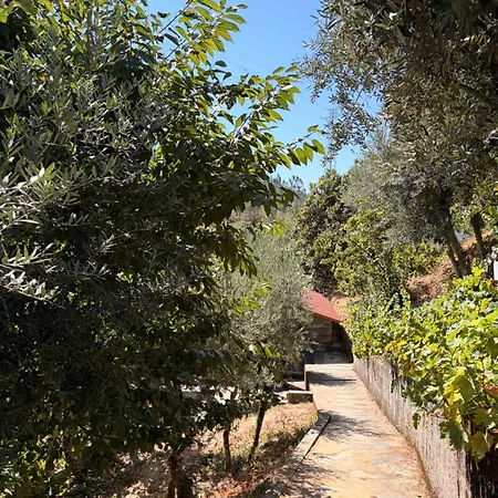 Casa Oliveiras - Casas Do Sinhel Holiday home *