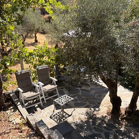 Holiday home Casa Oliveiras - Casas Do Sinhel Cha de Alvares
